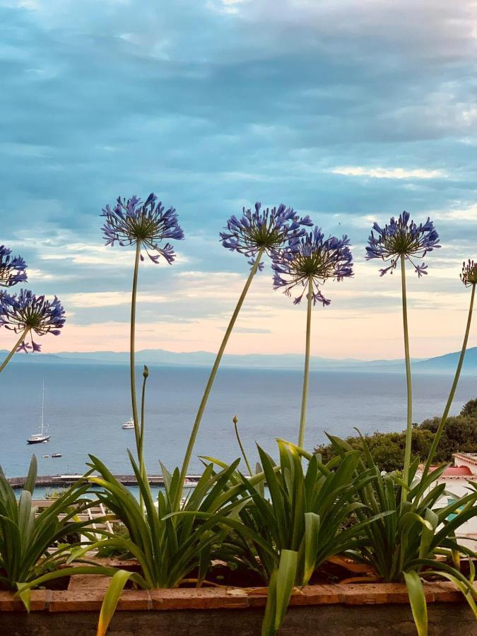 B&B L'Agapanto Capri Eksteriør bilde
