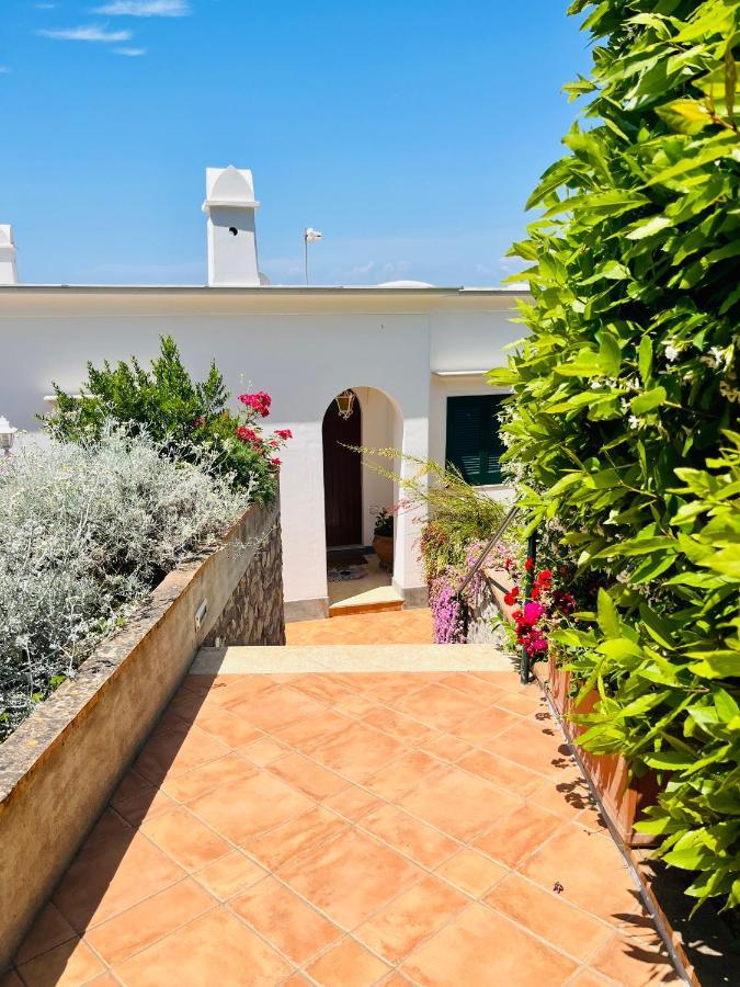 B&B L'Agapanto Capri Eksteriør bilde