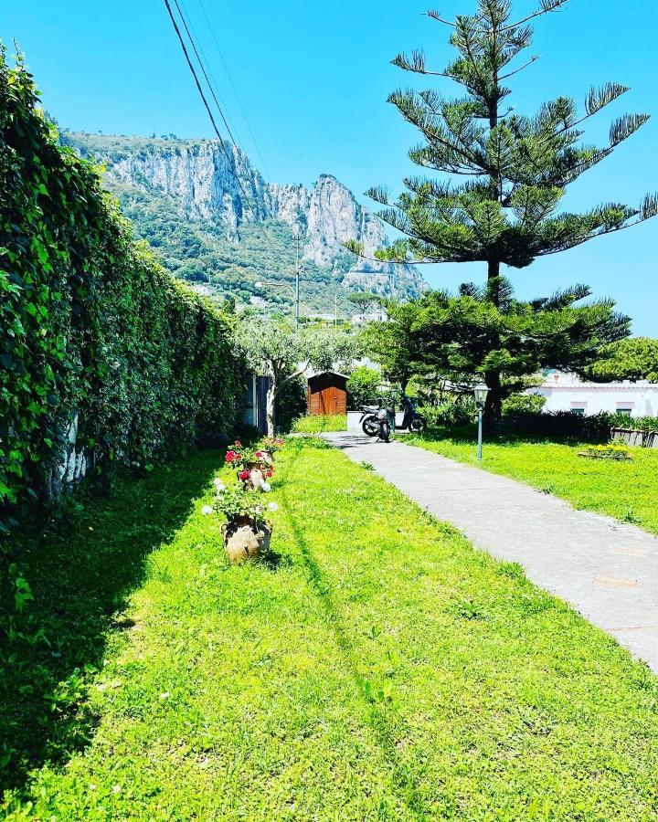 B&B L'Agapanto Capri Eksteriør bilde